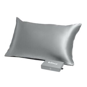Blissy Silk Pillowcase - Standard - Silver NWT